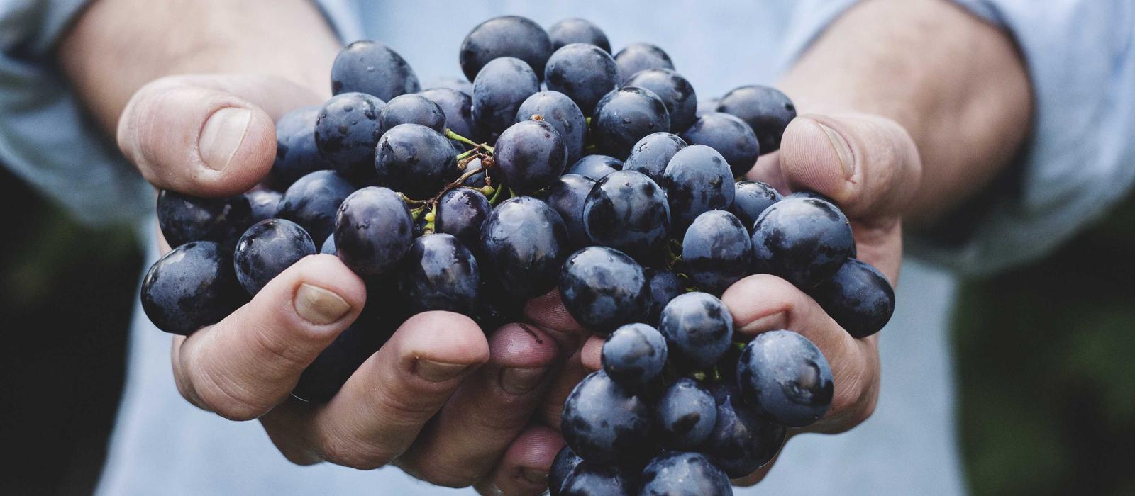 Art Appraisal Gallery 2026