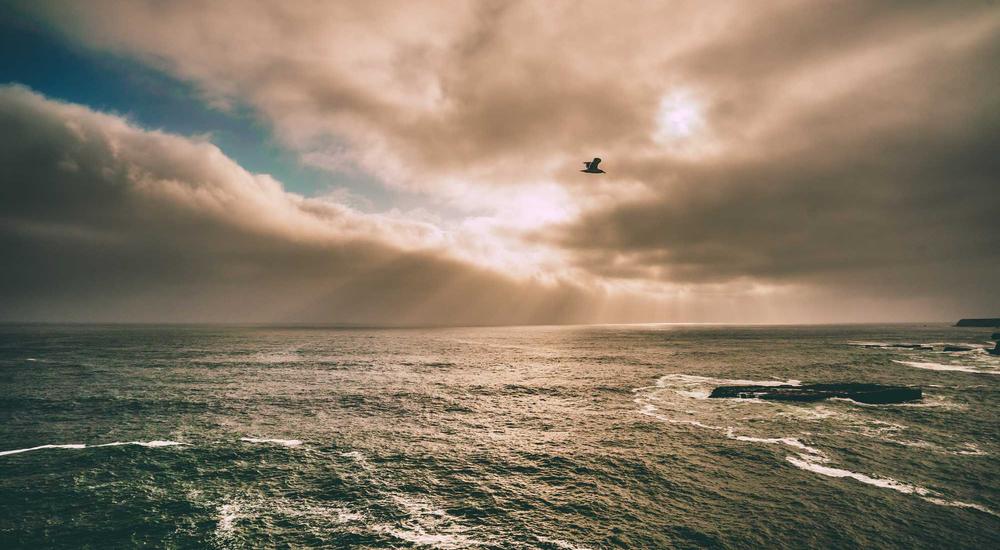 Tối ưu SEO và Mobile cho website AI