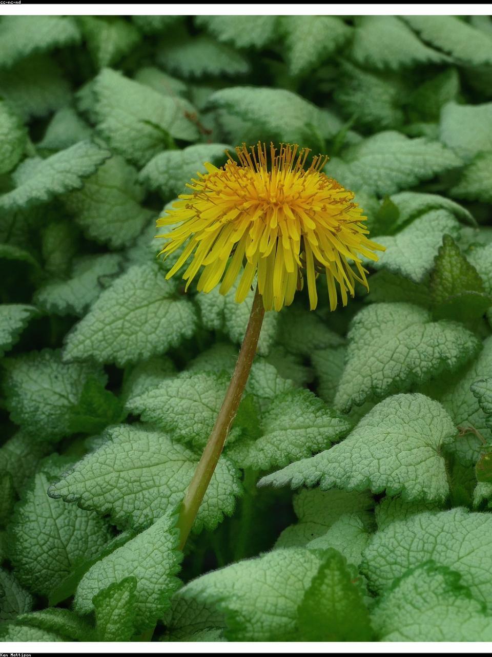 AI Technology Visualization