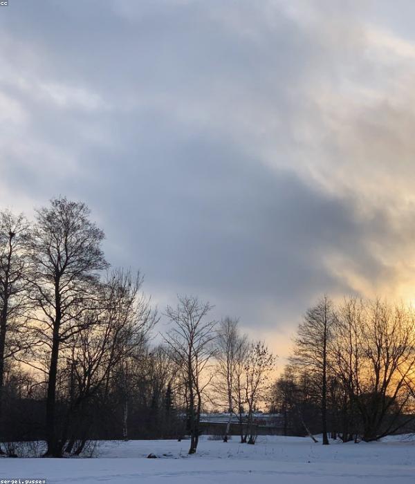 Cánh đồng hữu cơ