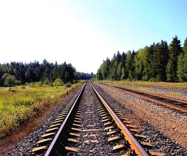 Bảng màu hoa cưới 2024