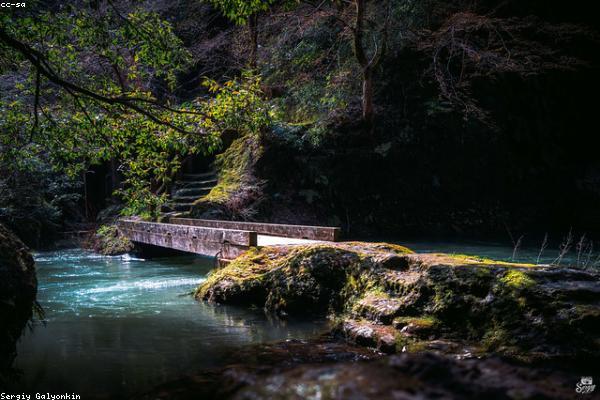 Lối mòn trong rừng