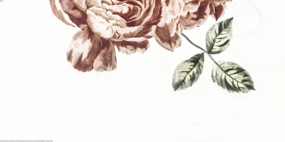 So sánh màu sắc ảnh