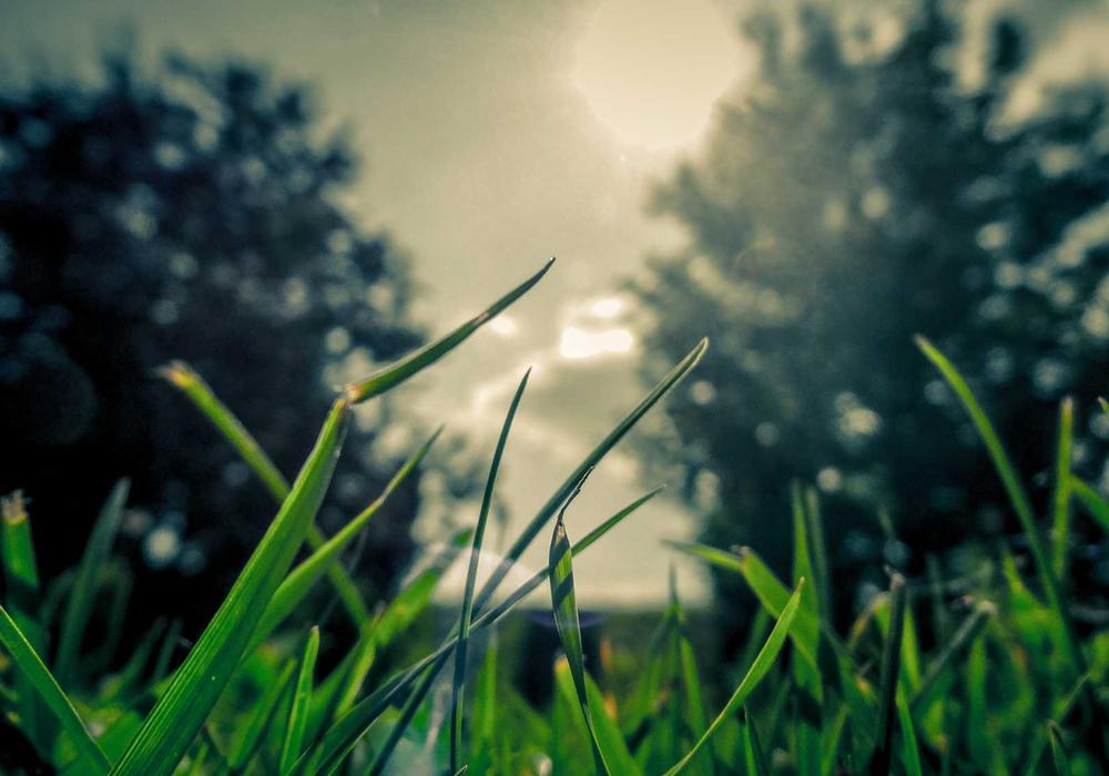 Hoạt động cộng đồng