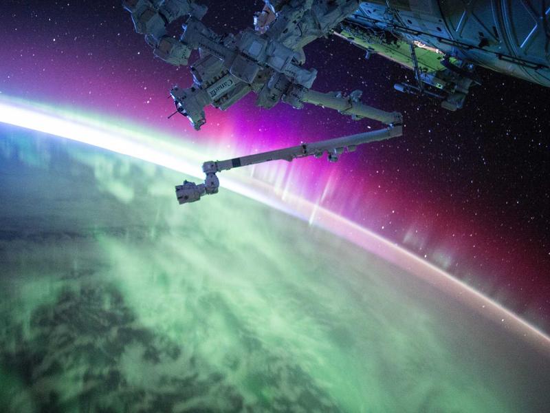 Life quality with Mushroom Coffee