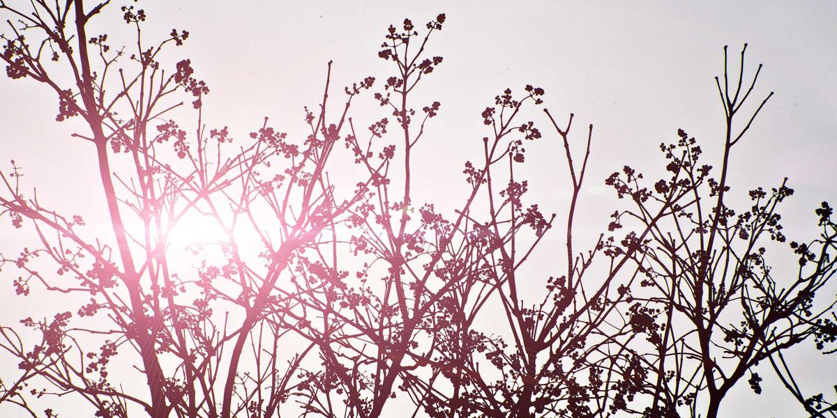 Phần mềm AI 2026