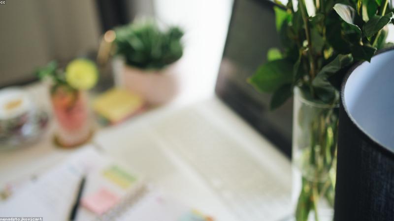 Bố cục sổ tay khoa học