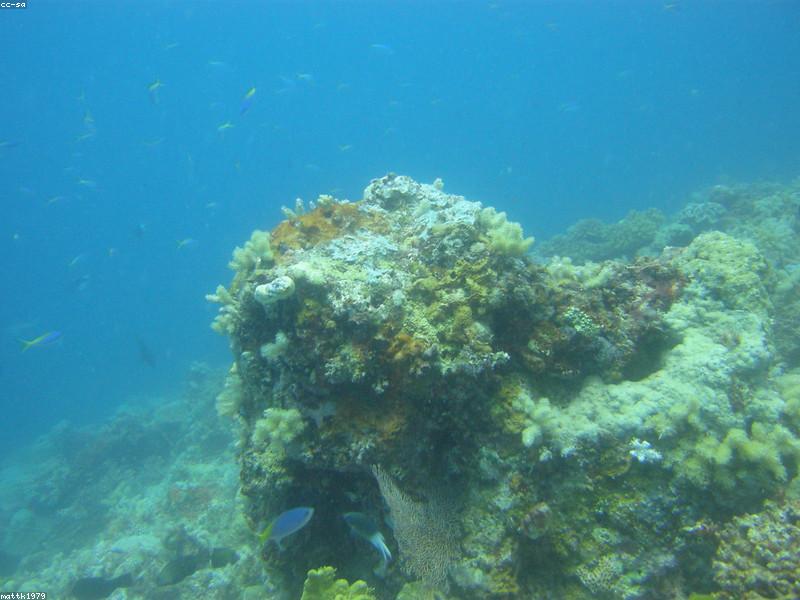 Great Barrier
