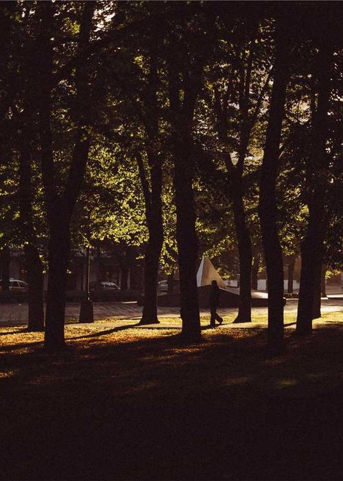 Personalized Hair Care