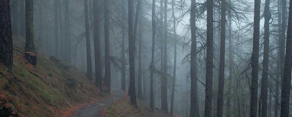 Không gian yên tĩnh