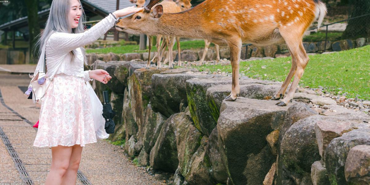 Du lịch di tích lịch sử