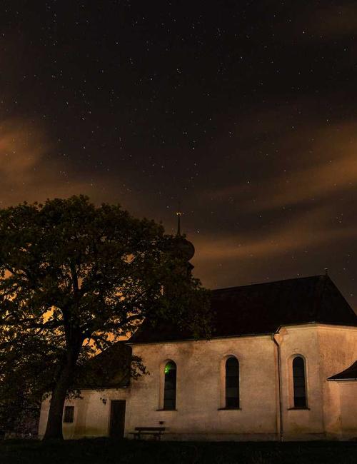 Hạt cà phê Specialty