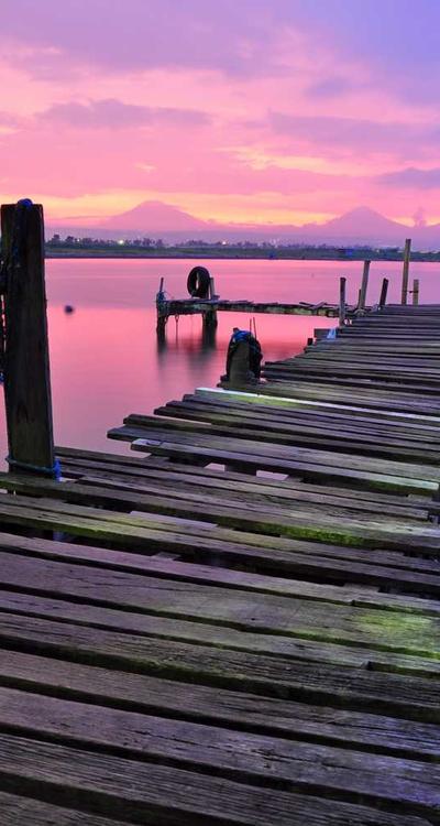 Ivory Silk Puffer Coat