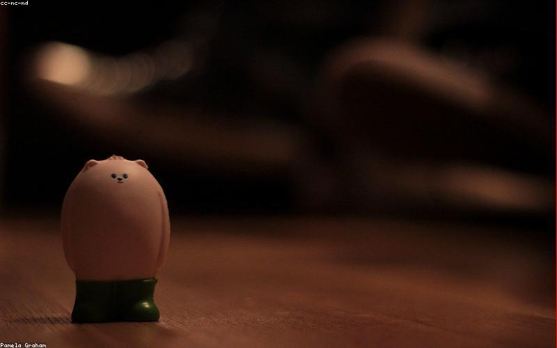 Không gian chụp ảnh tại ToyBox