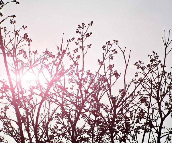 Expedition Route Asia