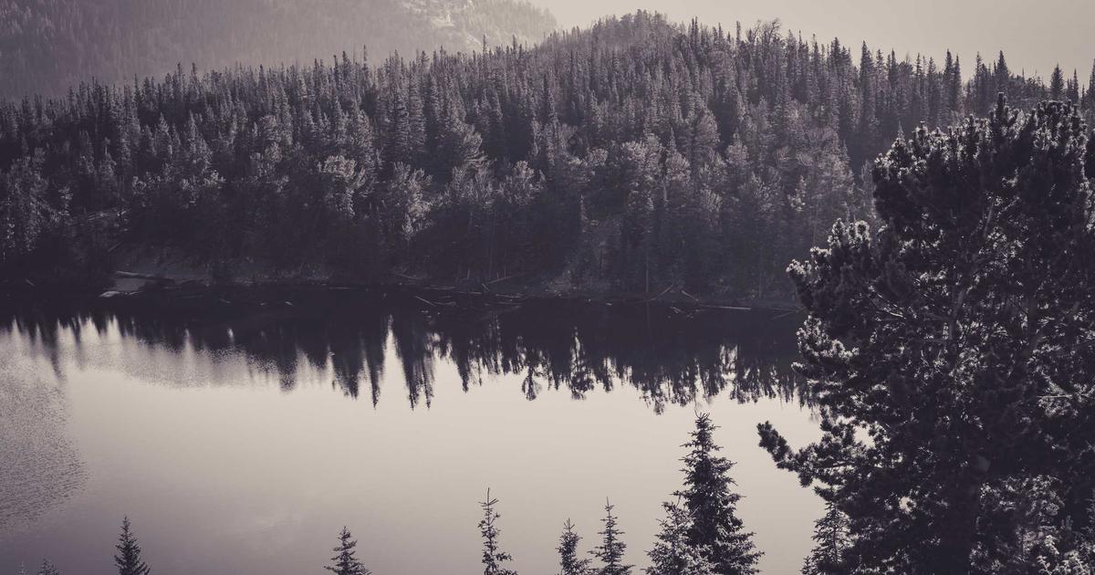 Thương mại điện tử Việt Nam cán mốc 22 tỷ USD: Livestream trở thành 'mỏ vàng' mới