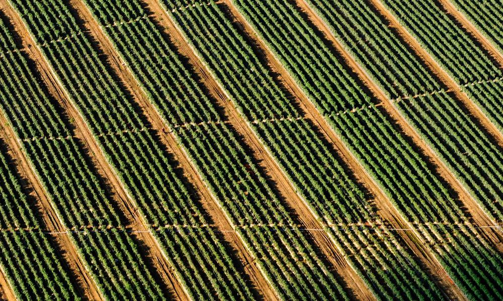 Chef sử dụng AI thiết kế món ăn