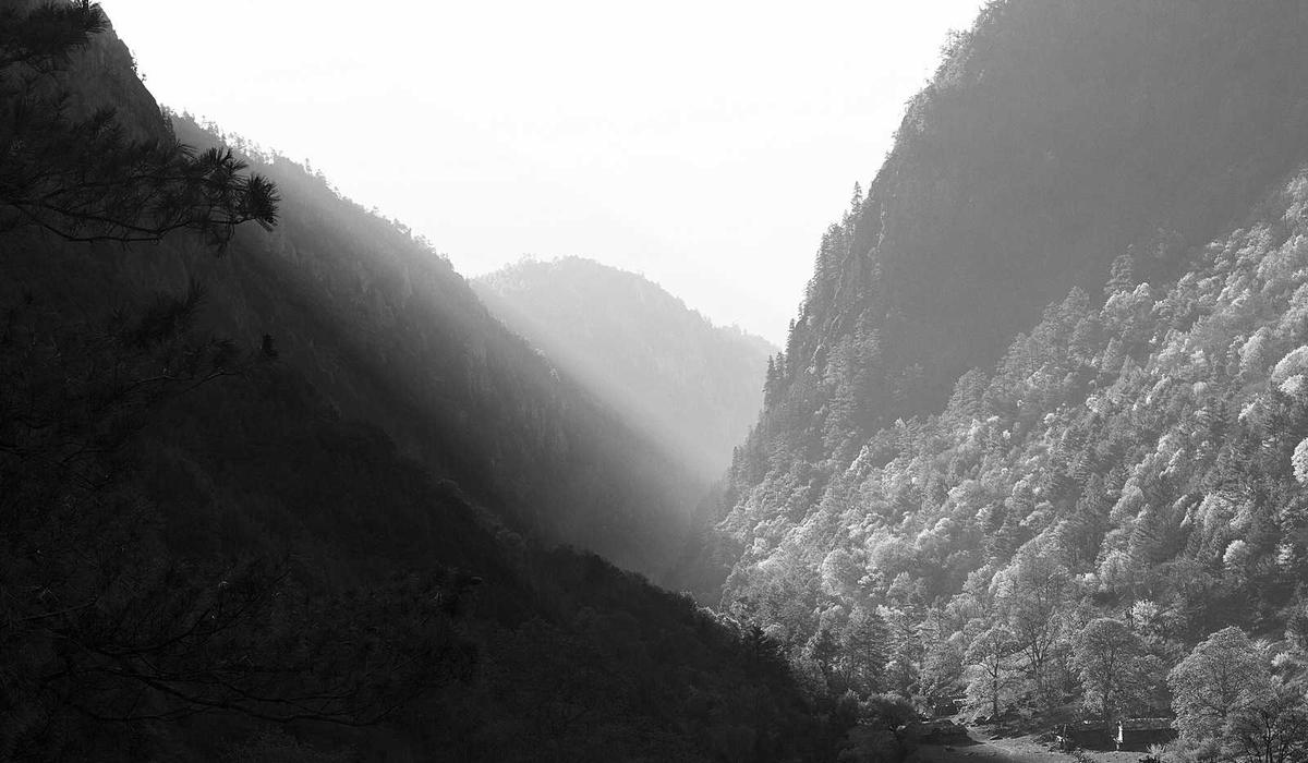 Luxury gold design details