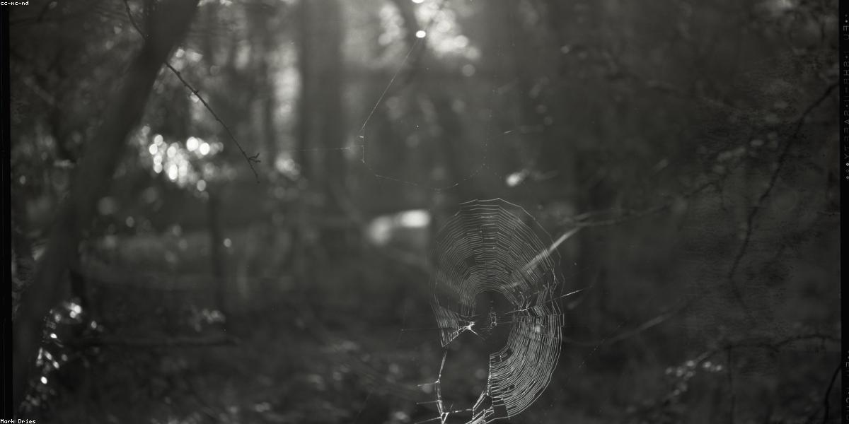 AI Website Design Technology