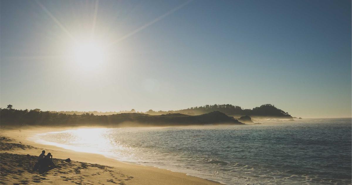 Xu hướng dịch bệnh 2024: Tại sao các chủng virus đường hô hấp đang có độc lực mạnh gấp đôi?