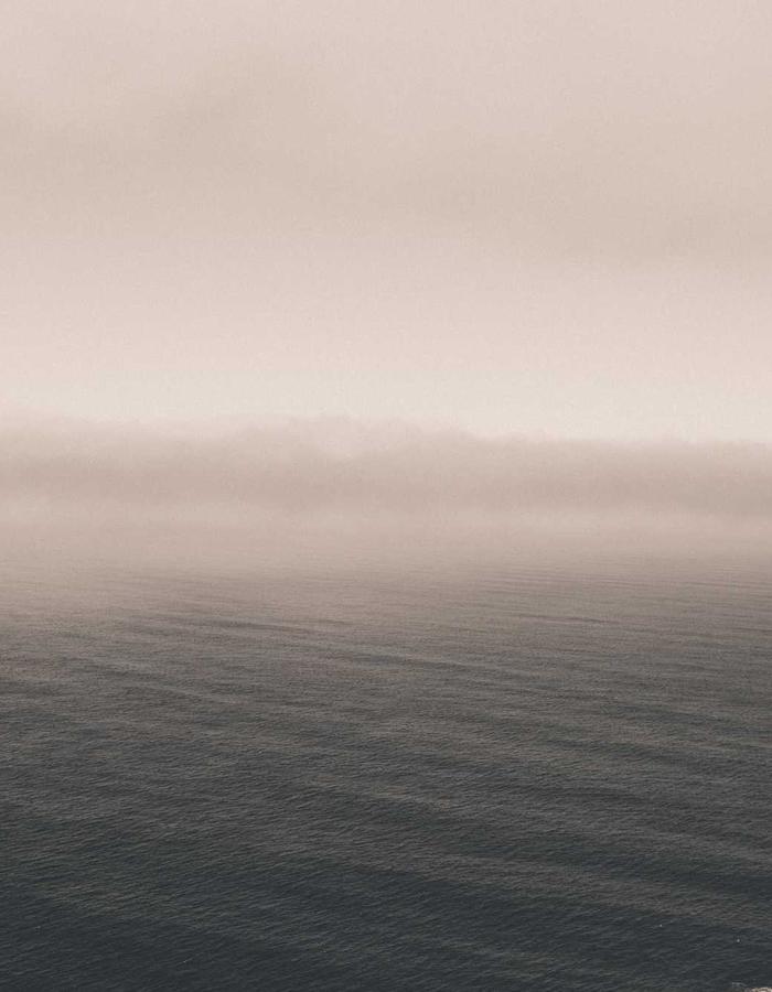 Storytelling at coffee farm