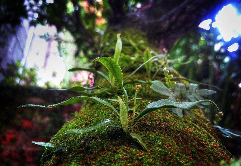 Lớp học Yoga trị liệu An Nhiên