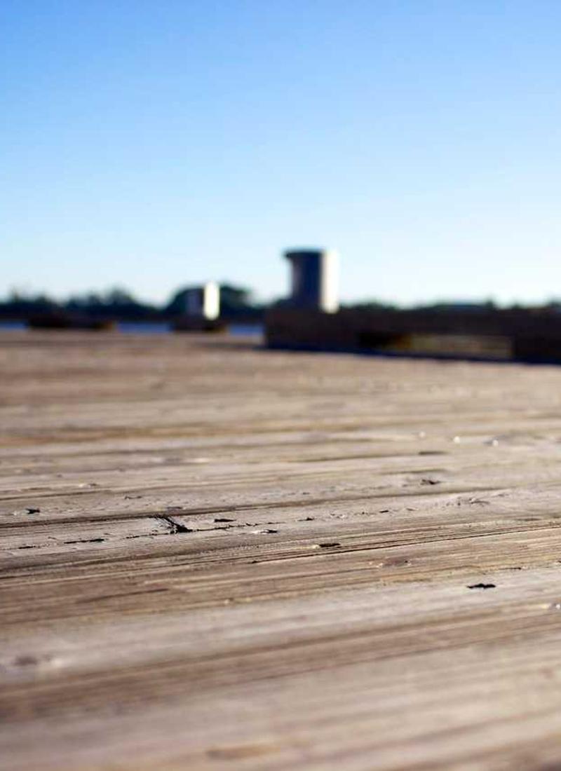 Portrait of hair texture 2026