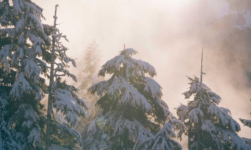 Lưu trữ dữ liệu đám mây và mã hóa đầu cuối