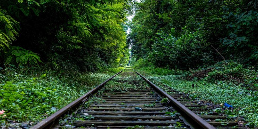 Resort 2026 nông nghiệp