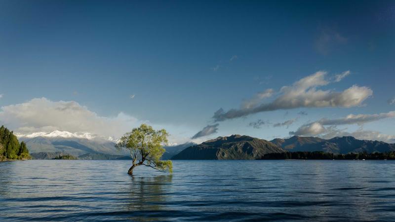 Thống kê dữ liệu danh tiếng 2026