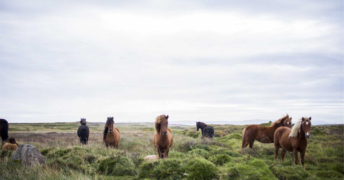 Xu hướng tín dụng xanh 2024: Các ngân hàng rót hơn 520.000 tỷ đồng vào dự án năng lượng sạch