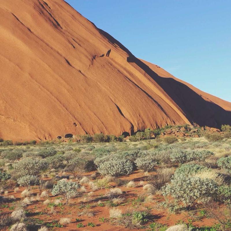 Đồng hồ Rolex Submariner Date 'Emerald Green' 2026 3