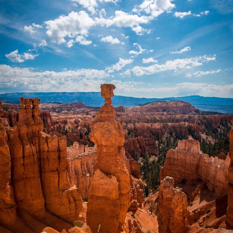 Giày Sneaker Da Nam ShopVN Classic