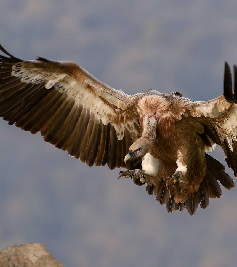 Tour lặn ngắm xác tàu đắm