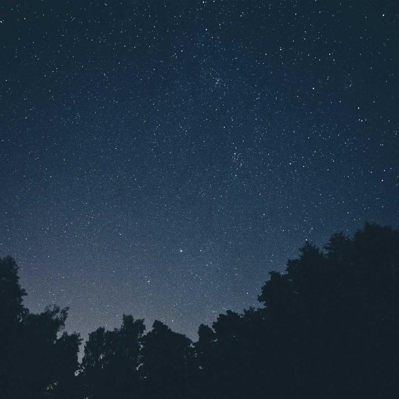 Túi Xách Da Cầm Tay Mini