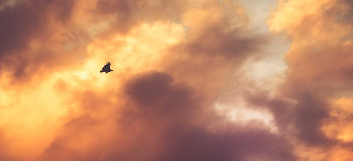 Kết luận xu hướng tài chính xanh