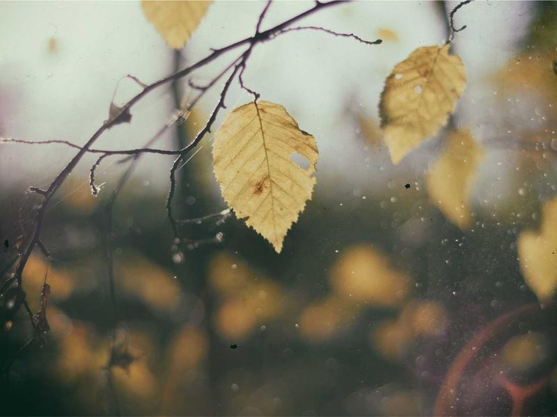 Trải nghiệm người dùng