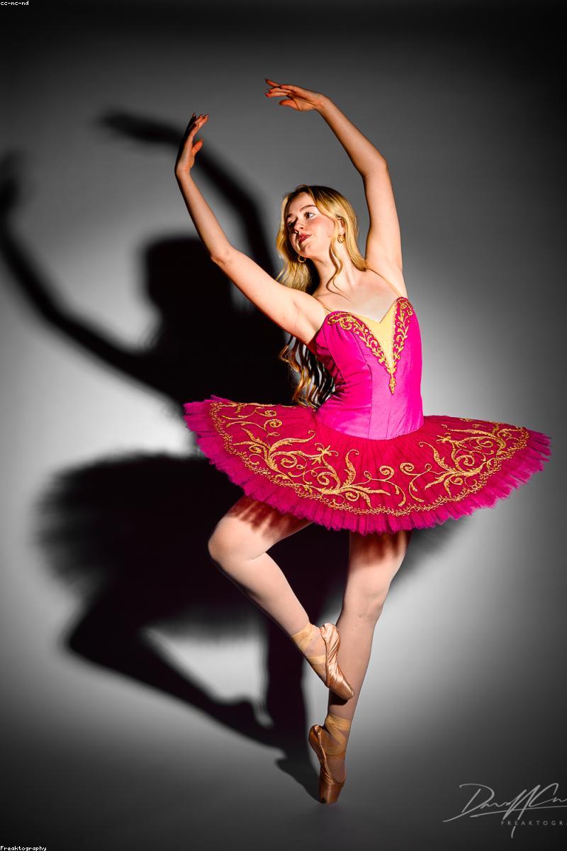 Vũ Đức Hải Portrait