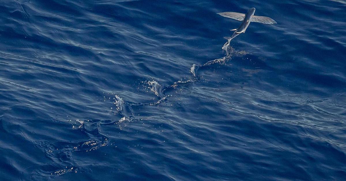 Hướng dẫn kỹ thuật Fragrance Layering chuyên nghiệp: Cách mix nước hoa tạo dấu ấn riêng