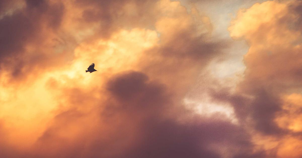 BS. Bùi Thanh Nga chia sẻ: 3 'thời điểm vàng' trong thai kỳ mẹ bầu tuyệt đối không nên bỏ lỡ