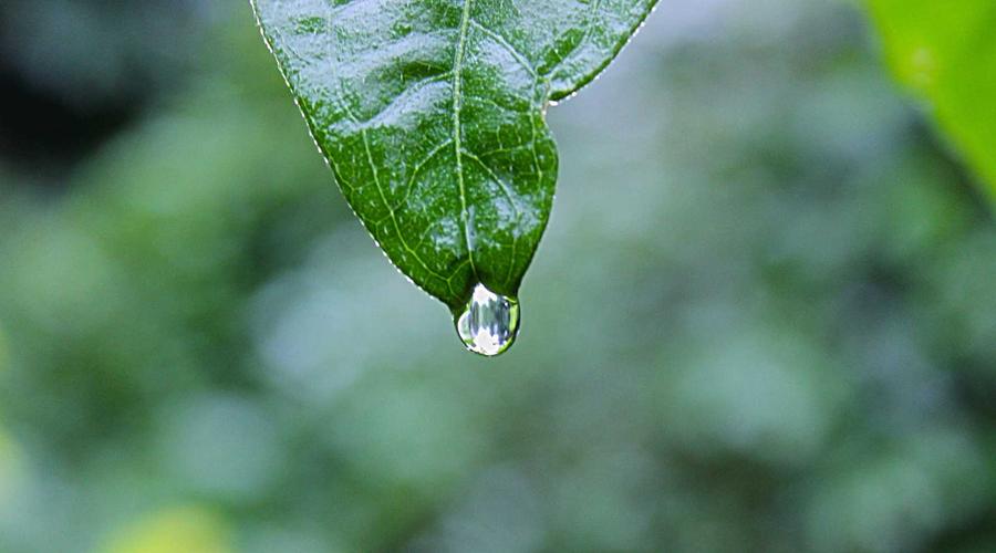 Trung tâm dữ liệu an toàn lượng tử