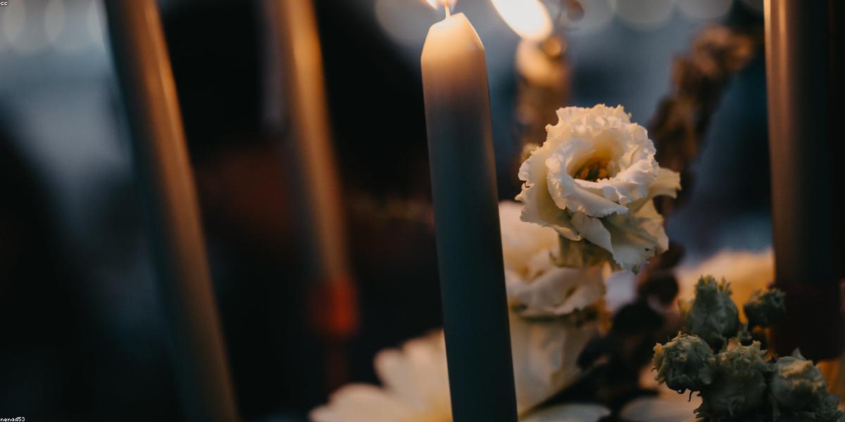 Phong cách cắm hoa Maximalism rực rỡ