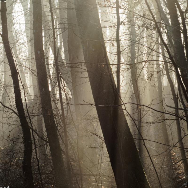 Nike Dunk Low 'Grey Fog'