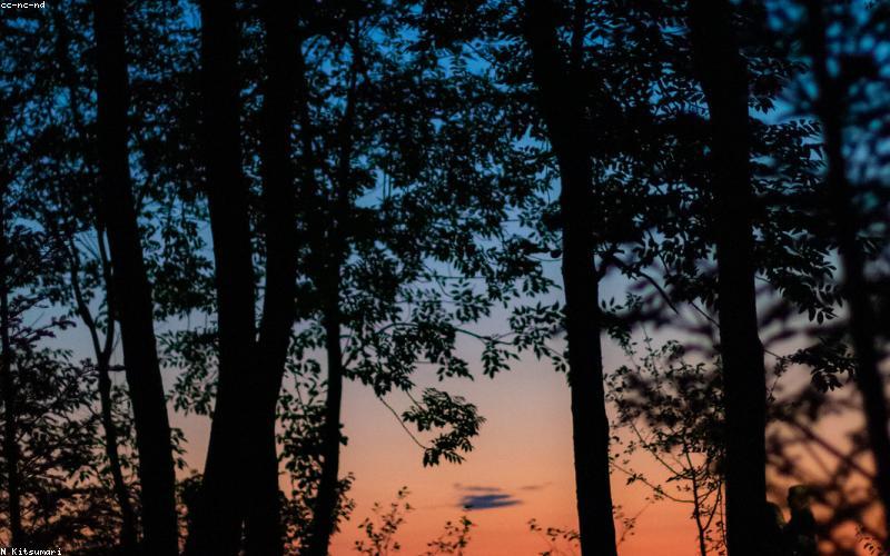 Xu hướng váy cưới tối giản cao cấp