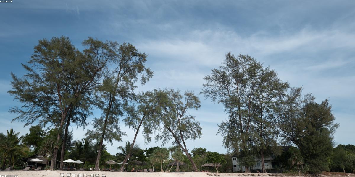 Không gian làm việc sáng tạo tại NomadWork Retreat