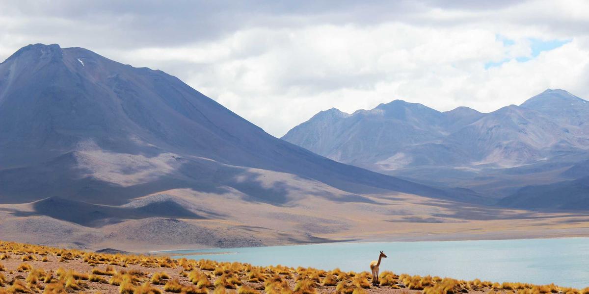 Không gian phòng khám bác sĩ Phạm Hà 2026