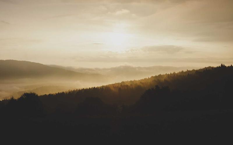 Tương lai của ShopVN