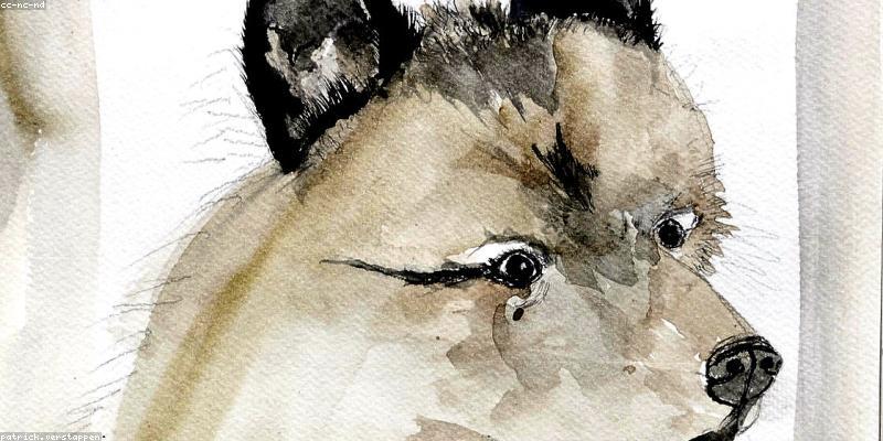 Sinh viên trong thư viện