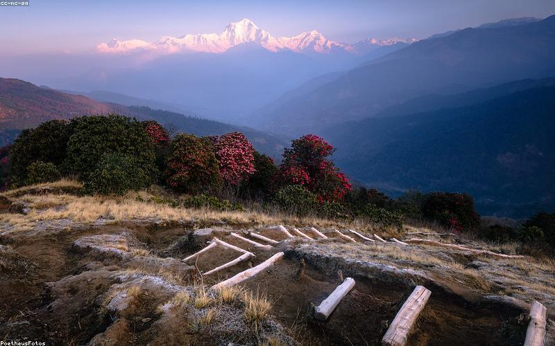 Modern green city concept