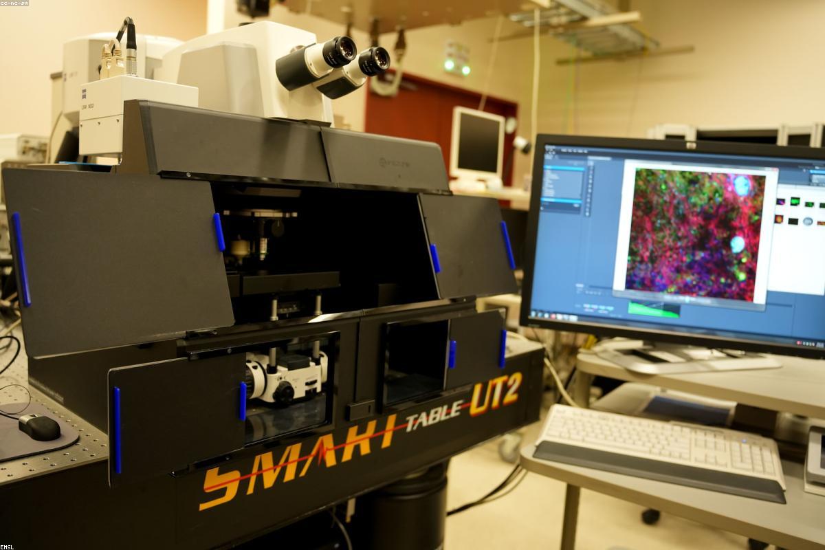 Phòng thí nghiệm nước hoa tinh giản